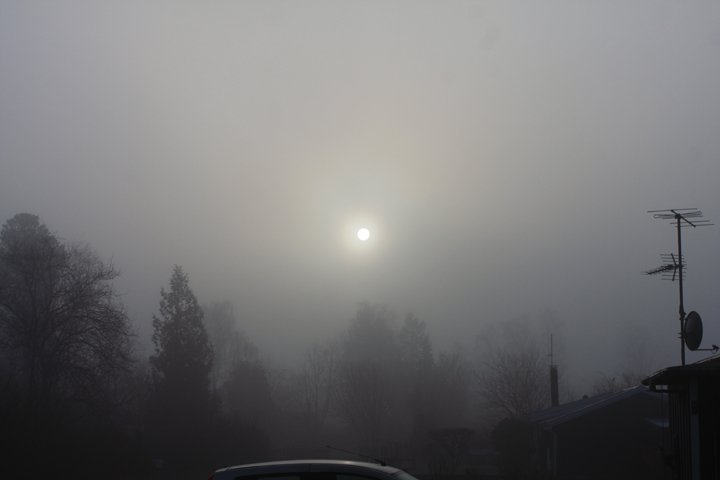 sol IMG_8470.jpg - Sol i tåge