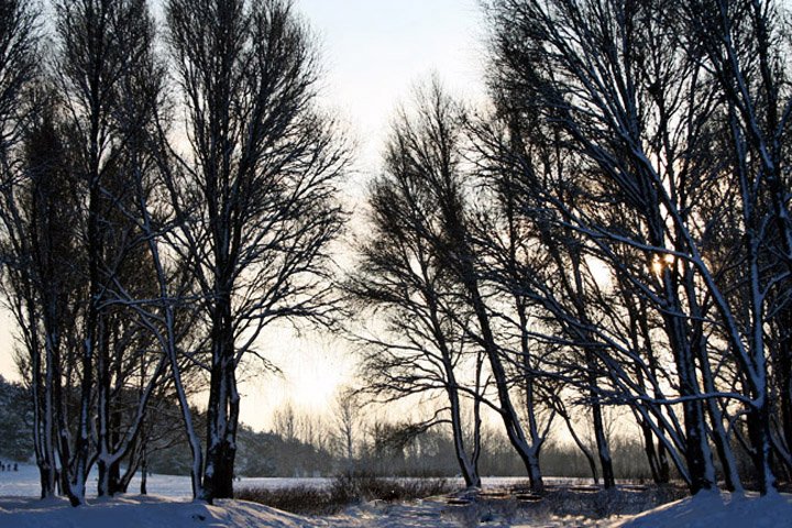 sol i frost IMG_7831.jpg - Sol i frost vejr