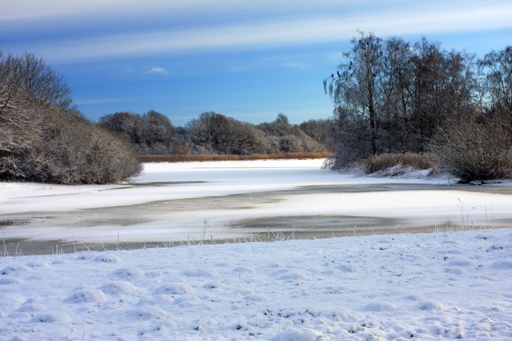 vinter IMG_0436.jpg - Vinter ved søen