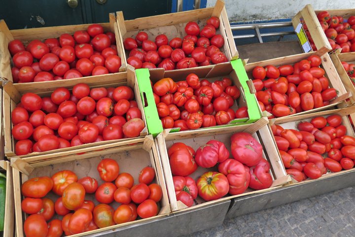 tomater IMG_4105.jpg - Tomater