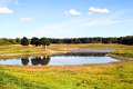 Vestskoven IMG_7259