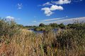 porsemosen IMG_6981