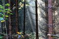 sol IMG_7175