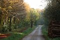 vej IMG_7179