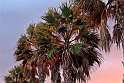 Aftensol