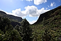 Bjergside