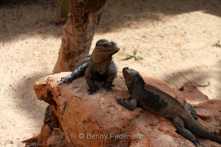 Rancho Texas Park 3.jpg - Rancho Texas Park 