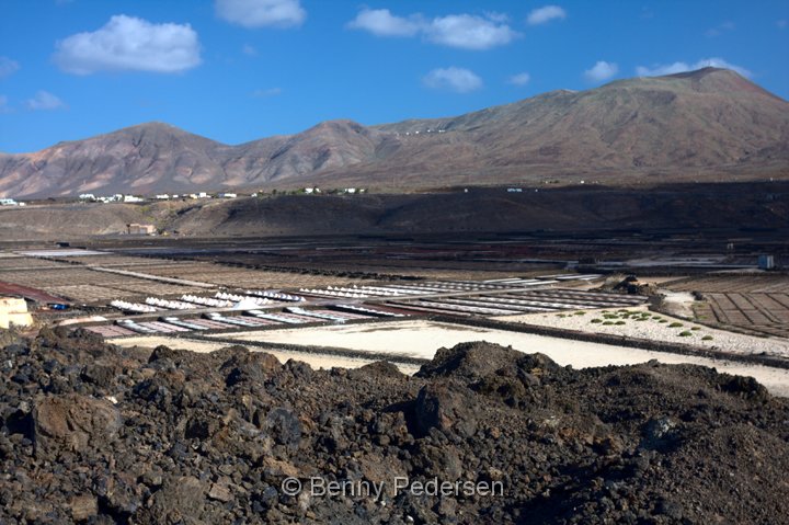 Salinas de Janubio.jpg - Salinas de Janubio " Her laver man salt"