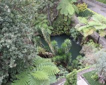 Monte Palace Tropical Garden IMG_6349