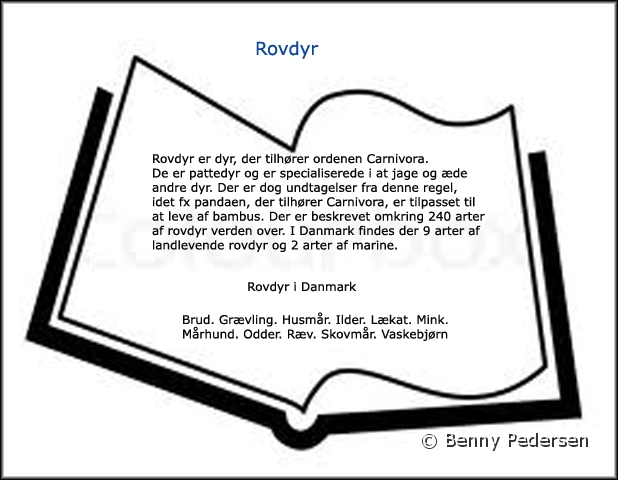 Rovdyr.jpg - Rovdyr (Carnivor)