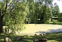 Dam