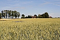 Rugmark