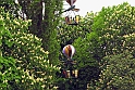 Tivoli
