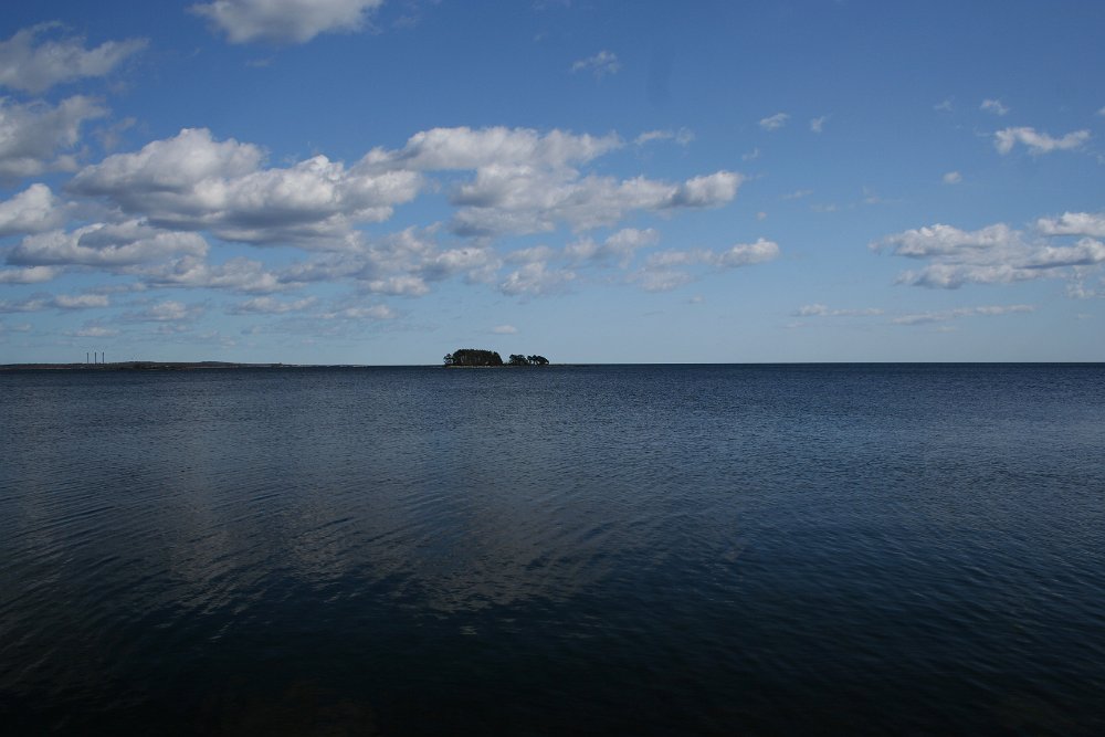 Ivoesoe IMG_2689.jpg - Mågelortenes ø i Ivösjön