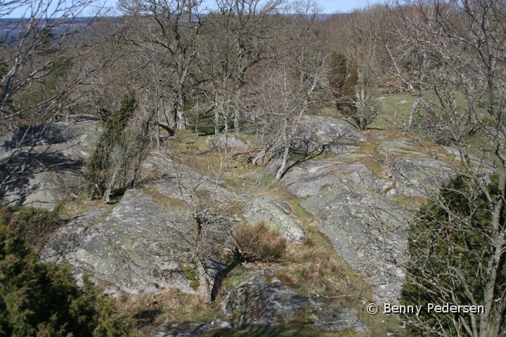 Kjugekull.jpg - Kjugekull