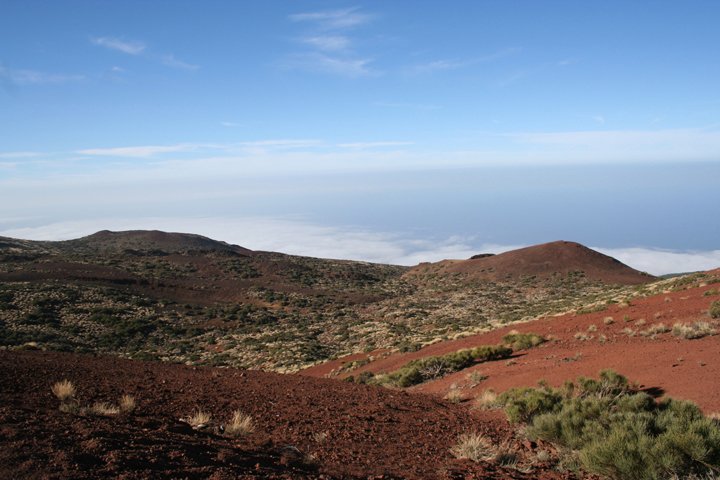 Las Canadas IMG_2303.jpg - Nationalpark Teide Las Canadas