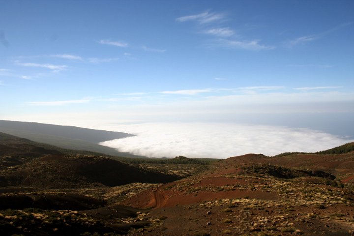 Las Canadas IMG_2306.jpg - Nationalpark Teide Las Canadas