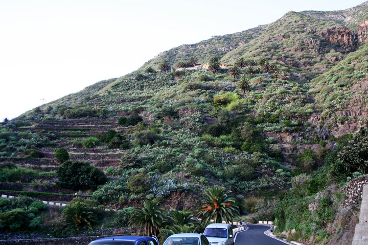 Masca IMG_2177.jpg